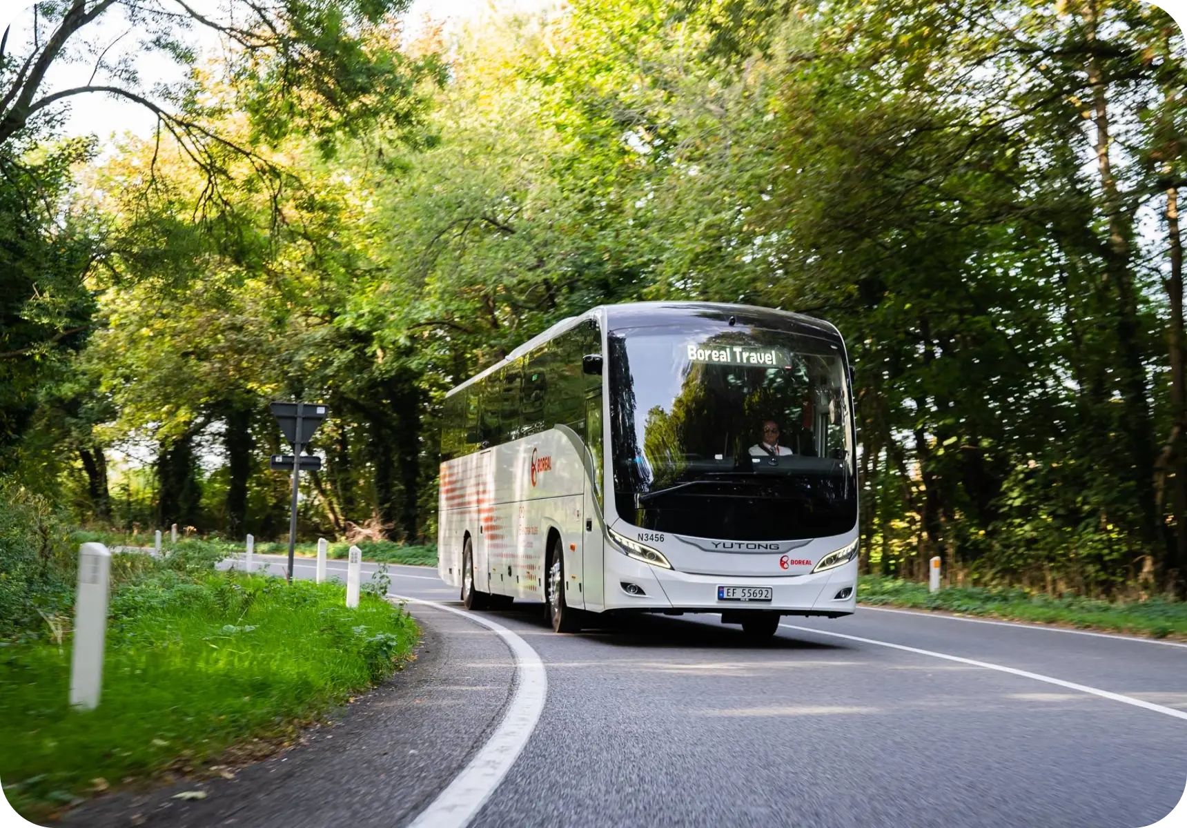 T15E